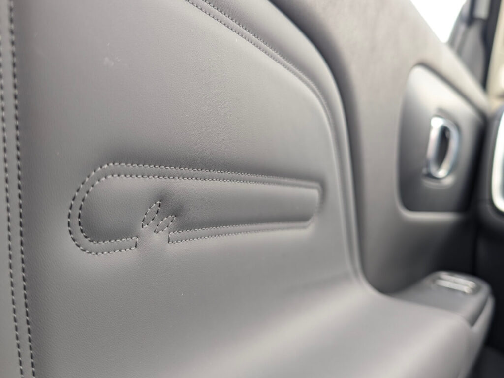 Oekotex-Polster im Leapmotor B10 Design mit Silikonledersitzen (Kunstleder) mit Öko-Stickerei in der Türverkleidung.